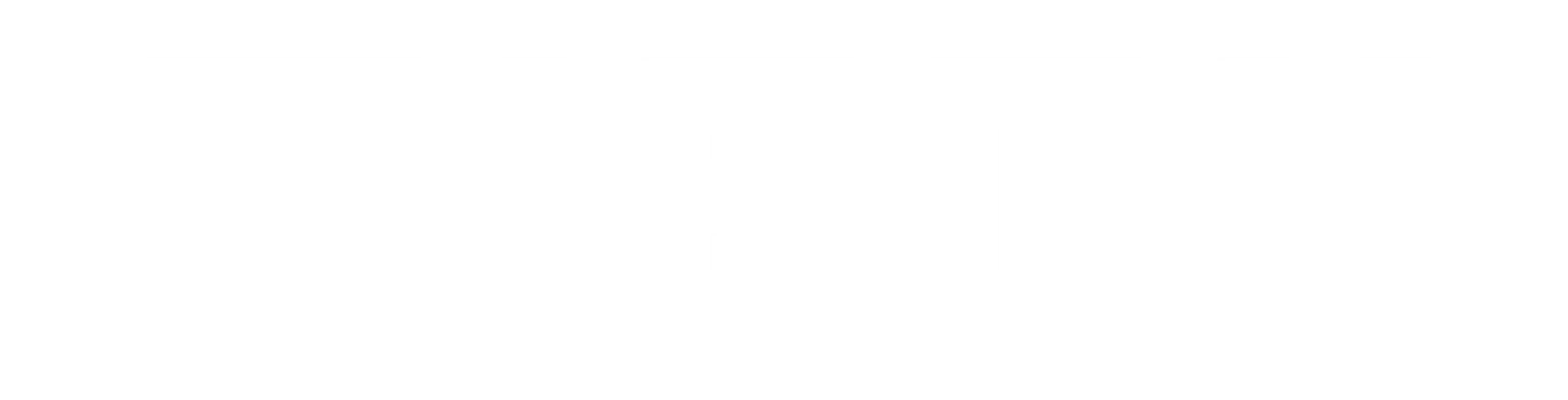 Zieck